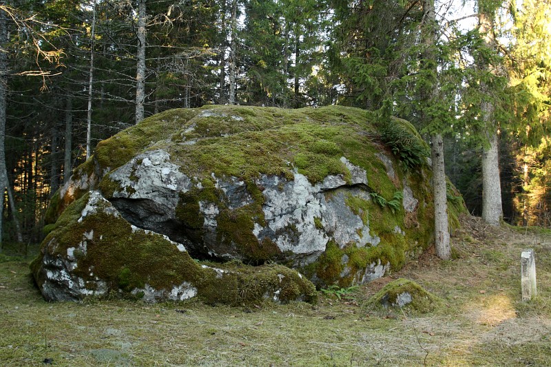 Paluküla kivi