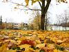 Lehtede langemise aeg
